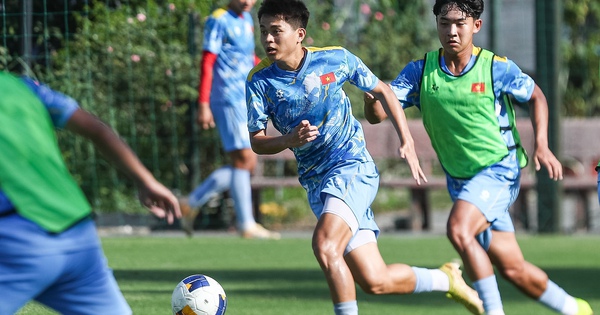 Nhà cái cá cược số 1