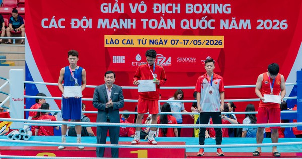 QQ88 cược thể thao